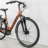 District 2 Equipped Lowstep-Trek Bikes New