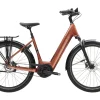 District+ 4 Lowstep-Trek Bikes Best Sale